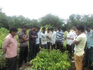 Group Discussion