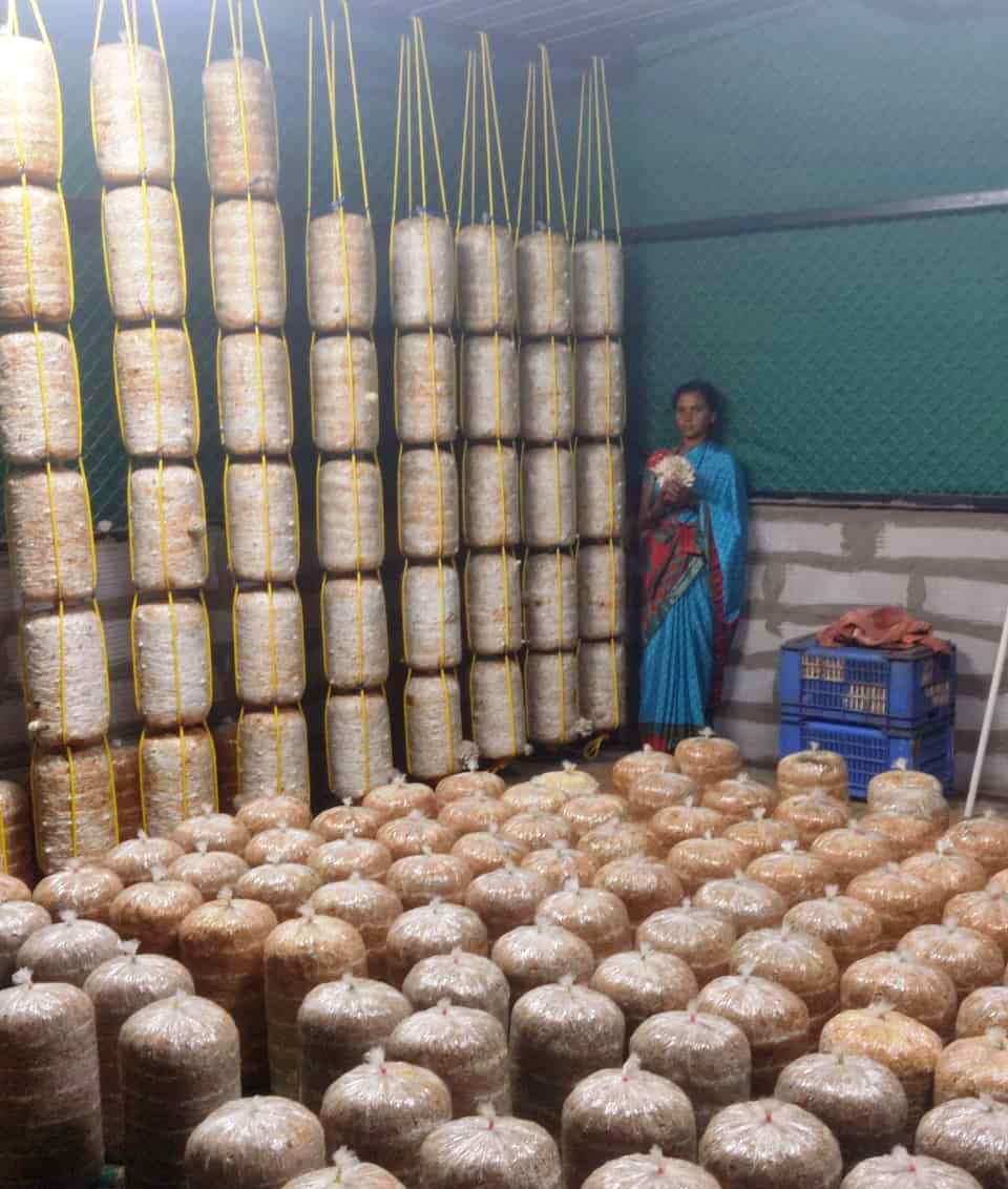 Scientific filling and preparation of Beds