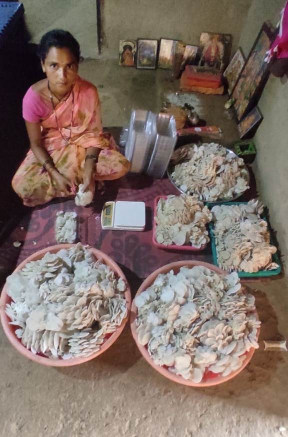 200 gm Packaging of fresh mushroom